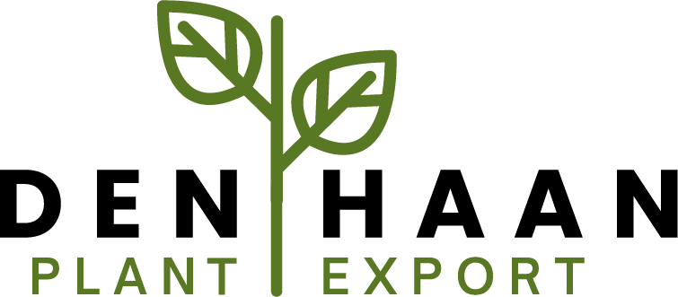 Den Haan | Plant export